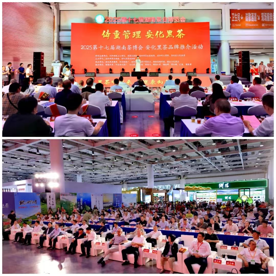 破局邊銷二十載，開啟茯茶新紀(jì)元——湘益茯茶“紀(jì)廿”新品璀璨發(fā)布